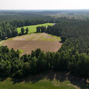 Photo #7 of Off Barbee Rd, Richlands , NC 97.0 acres