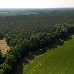 Photo #8 of Off Barbee Rd, Richlands , NC 97.0 acres
