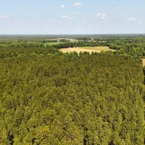 Photo #21 of Off Barbee Rd, Richlands , NC 97.0 acres