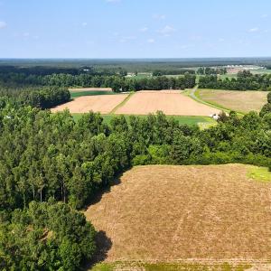 Photo #23 of Off Barbee Rd, Richlands , NC 97.0 acres