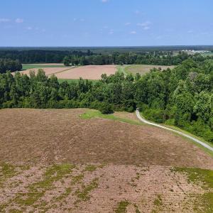 Photo #24 of Off Barbee Rd, Richlands , NC 97.0 acres