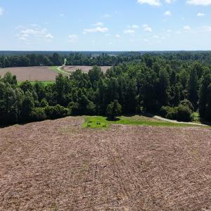 Photo #27 of Off Barbee Rd, Richlands , NC 97.0 acres