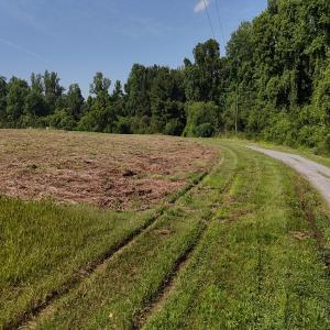 Photo #31 of Off Barbee Rd, Richlands , NC 97.0 acres