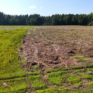 Photo #32 of Off Barbee Rd, Richlands , NC 97.0 acres
