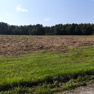 Photo #33 of Off Barbee Rd, Richlands , NC 97.0 acres
