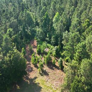 Photo #36 of Off Barbee Rd, Richlands , NC 97.0 acres