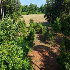 Photo #37 of Off Barbee Rd, Richlands , NC 97.0 acres