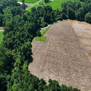 Photo #39 of Off Barbee Rd, Richlands , NC 97.0 acres