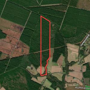 Photo #45 of Off Barbee Rd, Richlands , NC 97.0 acres