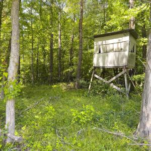 Photo #75 of 390 Line Creek Farm Road, Yanceyville, NC 123.1 acres