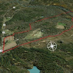 Photo #77 of 390 Line Creek Farm Road, Yanceyville, NC 123.1 acres