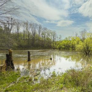 Photo #78 of 390 Line Creek Farm Road, Yanceyville, NC 123.1 acres