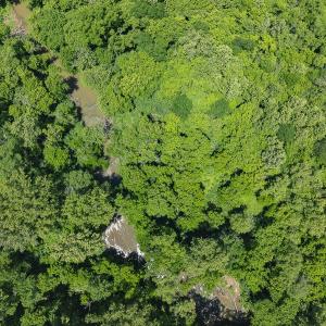 Photo #83 of 390 Line Creek Farm Road, Yanceyville, NC 123.1 acres