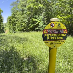 Photo #86 of 390 Line Creek Farm Road, Yanceyville, NC 123.1 acres