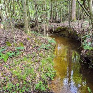 Photo #13 of Off Chip Road, Mount Gilead, NC 76.1 acres