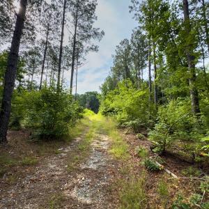 Photo #14 of Off Chip Road, Mount Gilead, NC 76.1 acres