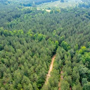 Photo #15 of Off Chip Road, Mount Gilead, NC 76.1 acres