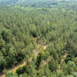 Photo #16 of Off Chip Road, Mount Gilead, NC 76.1 acres