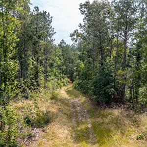 Photo #17 of Off Chip Road, Mount Gilead, NC 76.1 acres