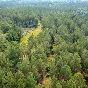 Photo #18 of Off Chip Road, Mount Gilead, NC 76.1 acres