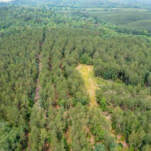 Photo #1 of Off Chip Road, Mount Gilead, NC 76.1 acres