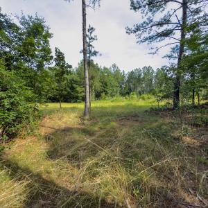 Photo #2 of Off Chip Road, Mount Gilead, NC 76.1 acres