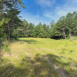 Photo #22 of Off Chip Road, Mount Gilead, NC 76.1 acres