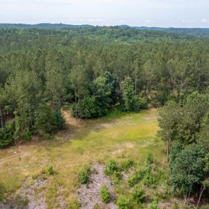 Photo #26 of Off Chip Road, Mount Gilead, NC 76.1 acres