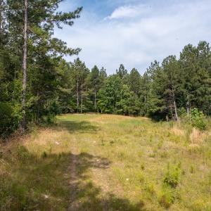 Photo #3 of Off Chip Road, Mount Gilead, NC 76.1 acres