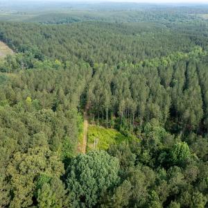 Photo #36 of Off Chip Road, Mount Gilead, NC 76.1 acres