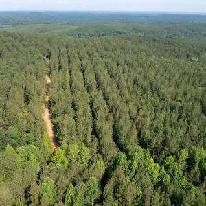 Photo #37 of Off Chip Road, Mount Gilead, NC 76.1 acres