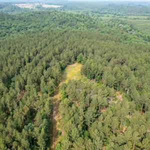 Photo #38 of Off Chip Road, Mount Gilead, NC 76.1 acres
