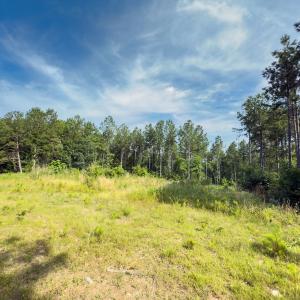 Photo #4 of Off Chip Road, Mount Gilead, NC 76.1 acres