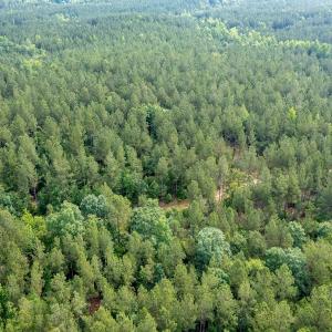 Photo #40 of Off Chip Road, Mount Gilead, NC 76.1 acres