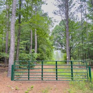 Photo #8 of Off Chip Road, Mount Gilead, NC 76.1 acres