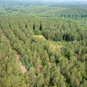 Photo #41 of Off Chip Road, Mount Gilead, NC 76.1 acres