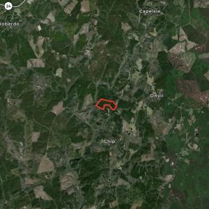 Photo #43 of Off Chip Road, Mount Gilead, NC 76.1 acres