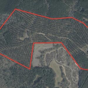 Photo #44 of Off Chip Road, Mount Gilead, NC 76.1 acres