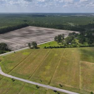 Photo #2 of Off Dallas Paul Road, Belhaven, NC 1.7 acres
