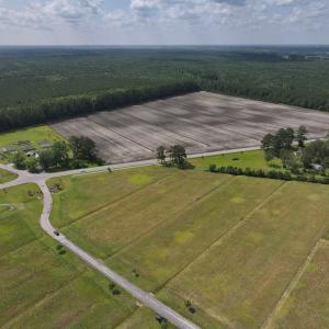 Photo #3 of Off Dallas Paul Road, Belhaven, NC 1.7 acres
