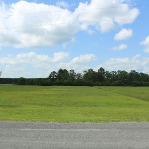 Photo #32 of Off Dallas Paul Road, Belhaven, NC 1.7 acres