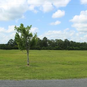 Photo #33 of Off Dallas Paul Road, Belhaven, NC 1.7 acres