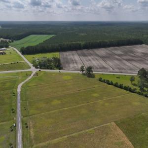 Photo #4 of Off Dallas Paul Road, Belhaven, NC 1.7 acres