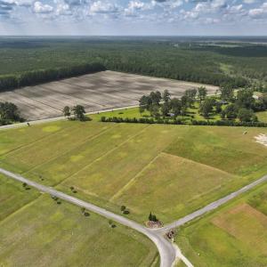 Photo #2 of Off Dallas Paul Road, Belhaven, NC 2.3 acres