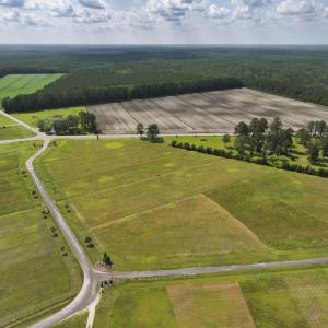 Photo #3 of Off Dallas Paul Road, Belhaven, NC 2.3 acres
