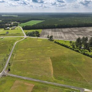 Photo #4 of Off Dallas Paul Road, Belhaven, NC 2.3 acres