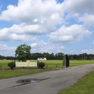 Photo #23 of Off Dallas Paul Road, Belhaven, NC 2.3 acres