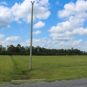 Photo #28 of Off Dallas Paul Road, Belhaven, NC 2.3 acres