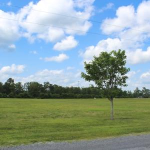 Photo #30 of Off Dallas Paul Road, Belhaven, NC 2.3 acres