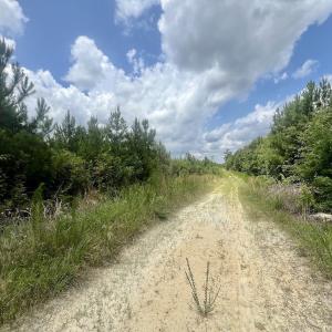 Photo #10 of Off Shields Commissary Road, Scotland Neck, NC 300.0 acres